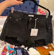 NWT  jean shorts