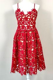 Two Sisters the Label Red Electra Embroidered Lace Mini Dress