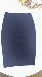 Navy Pencil Skirt