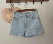 Everlane The 90's Cheeky Jean Cut-Off Shorts