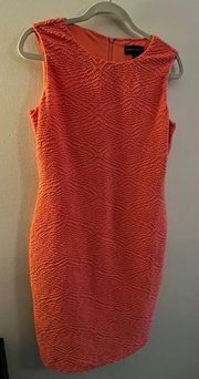 Peach Dana Buchanan column dress