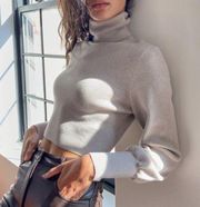 AVAIL NWOT Aritzia Wilfred Rebecca turtleneck crop cropped Sweater Herring 2xs