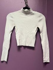 Crop Turtleneck