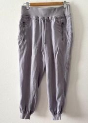 Bella Dahl Pants Womens Small Grey Tencel Joggers Drawstring