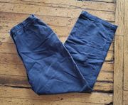 Charter Club Straight Leg Navy Chino Pants Size 10