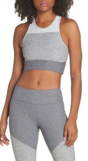 NWT Tri Tone Slashback Crop In Gray