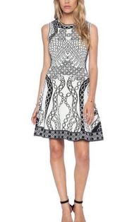 Diane Von Furstenberg Ivory and Black Fit and Flare Knit Dress - Sold on Revolve