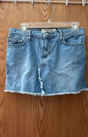 Vintage Jean Skirt