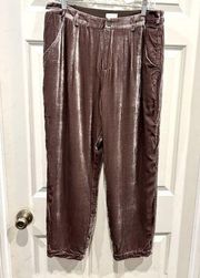 Garnet Hill Brown Velvet Rayon Silk Lined Trouser Ankle Pants Women’s size 12