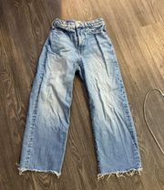 Madewell Curvy Vintage Wide Leg Crop Jeans
