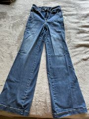 American Eagle Wide Leg Jeans