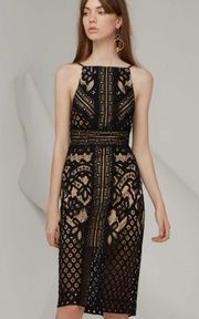 Keepsake The Label Bridges Lace Overlay Low Back Midi Cocktail Dress Medium