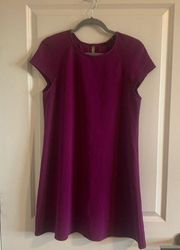 River Island women’s dress, size 8. Purple Short Sleeve