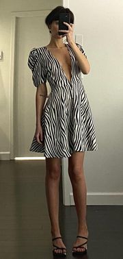 Ask Anything Zebra Print Mini Dress NWT