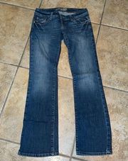 American Eagle  Artist Jeans Size 8 Long