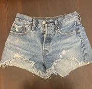 501 Shorts