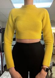 Misguided Cropped Sweater