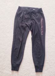 Abercrombie Navy Sweatpants with Purple Logo