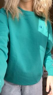 Urban Outfitters Champion Green Crewneck NWOT