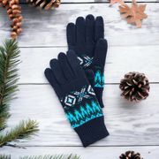 Talbots Chamonix Fair Isle Winter Gloves Tech Friendly Blue Nwt