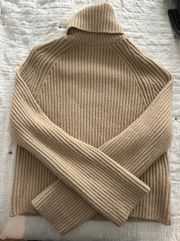 Beige Turtleneck