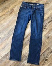 BKE Kate Straight blue jeans size 28