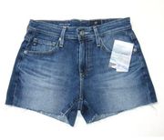 NWT Adriano Goldschmied AG Hailey Short in Firestone Ex-Boyfriend Shorts 31