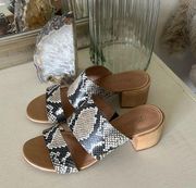 Madewell The Kiera Mule Sandal in Snake Embossed Leather 8.5 women’s