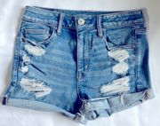 American Eagle Denim Ripped Shorts