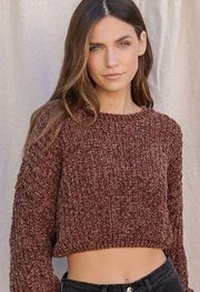 Lulus brown fringe cropped sweater