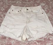 Outfitters Highwaisted Shorts