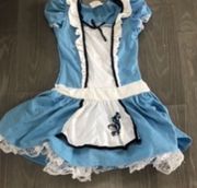 Alice In Wonderland Haloween Costume