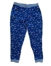 Wizarding World of Harry Potter Dark Blue Pajama Pants L