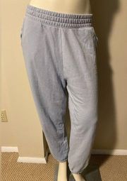 EUC American Eagle Outfitters Light Blue Lounge Sweatpnfs 2 pockets size medium