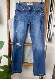 Ariat jeans