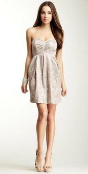 Jill Stuart Studio Sweetheart Strapless Lace Dress