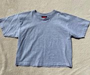 Gray Cropped Tee