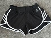 Exercise Shorts