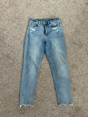 American Eagle Outfitters Mom Jean