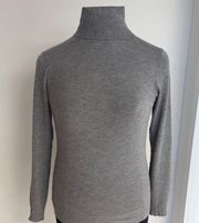 Classic Turtleneck Sweater NWOT