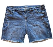 Short Jean Shorts Denim Cutoffs Distressed Raw hem.