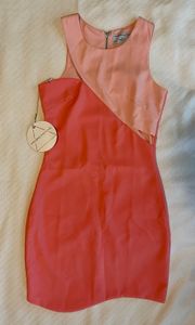Premonition Asymmetrical Two-Toned Pink Dress 