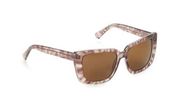 Joe's Jeans Brown & Taupe Tortoise Square Sunglasses