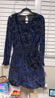 Blue Velvet Dress