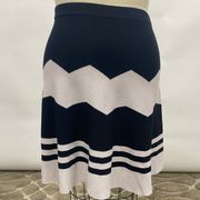 Chevron Skirt