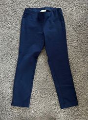 Navy Blue Dress Pants