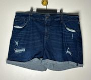 Ava & Viv shorts