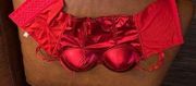 Party City Red, shiny corset top