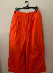 NWT anthropology  Pants