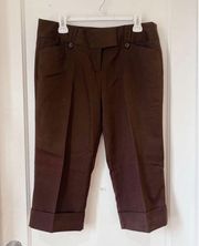 Tracy Evan’s Limited Sz 10 Beautiful Capri Pants Dressier / Career / Parties